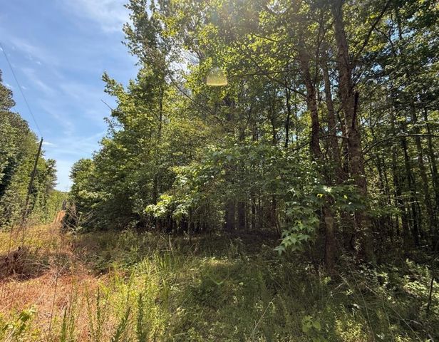 467 N Raburn Road, Bremen, GA 30110