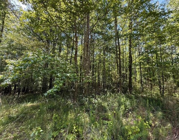 467 N Raburn Road, Bremen, GA 30110