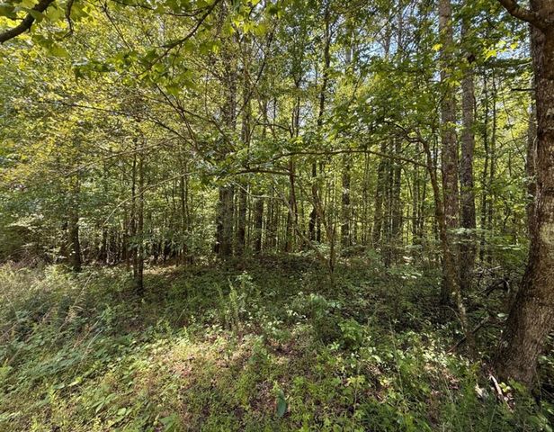 467 N Raburn Road, Bremen, GA 30110