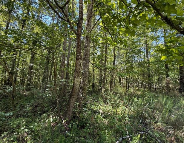 467 N Raburn Road, Bremen, GA 30110