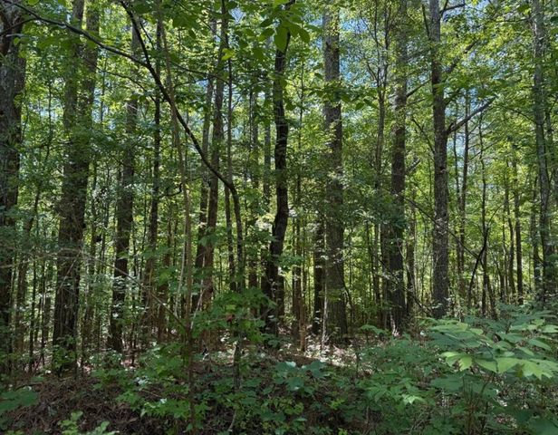 467 N Raburn Road, Bremen, GA 30110