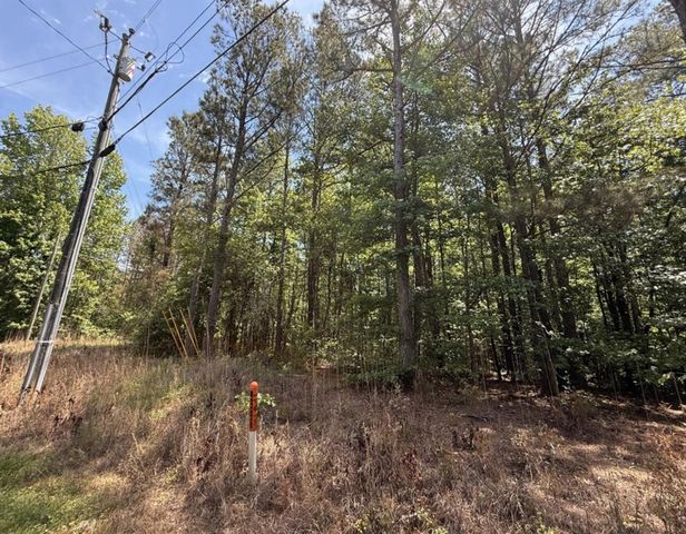 467 N Raburn Road, Bremen, GA 30110