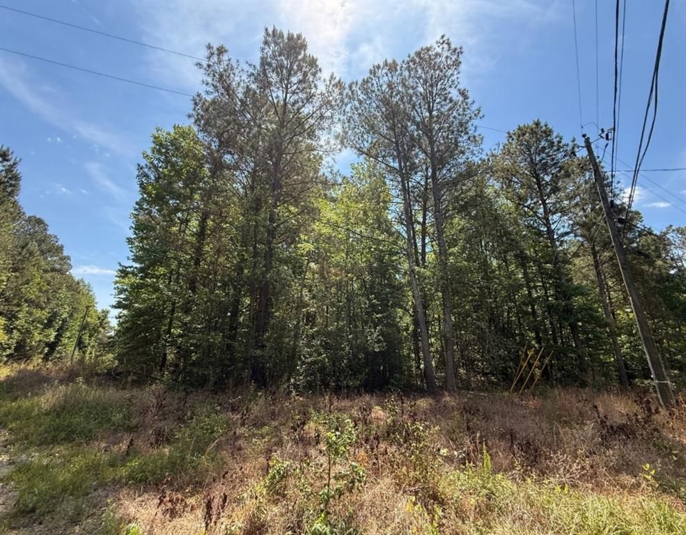 467 N Raburn Road, Bremen, GA 30110