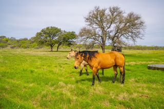 3019 S Highway 16, Llano, TX 78643