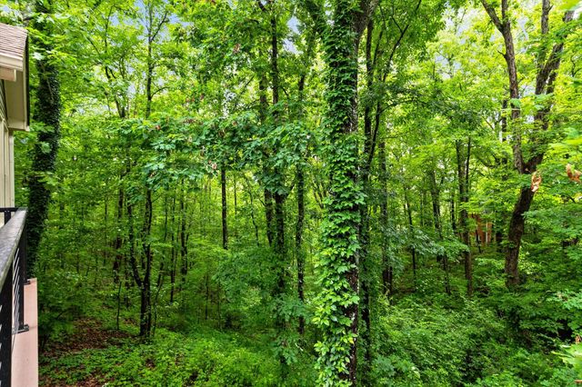 10 Pebble Lane, Signal Mountain, TN 37377