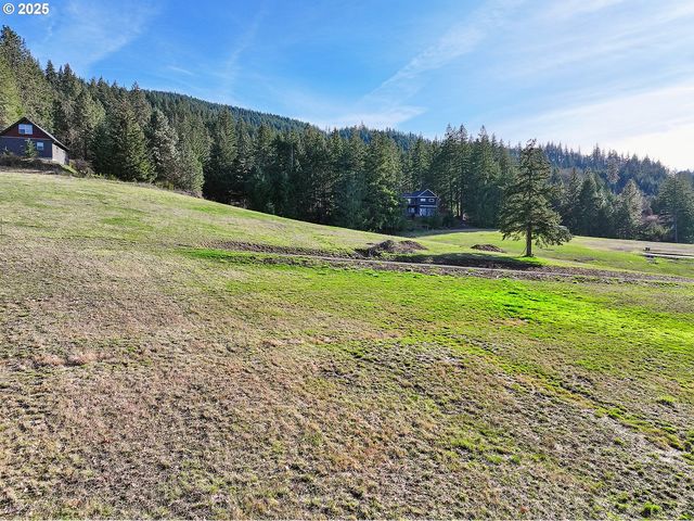 3 Graham Ln, White Salmon, WA 98672