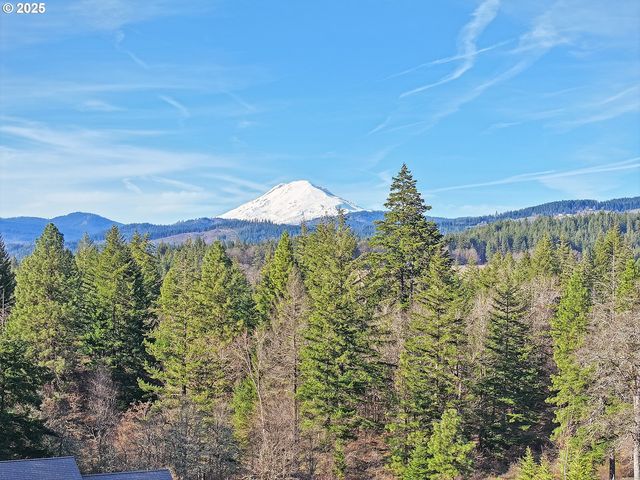 3 Graham Ln, White Salmon, WA 98672