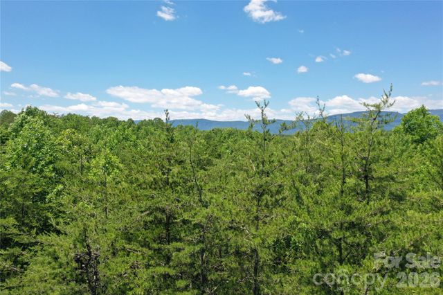 0 Burt Blackwell Road, Mill Spring, NC 28756