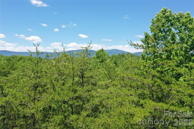 0 Burt Blackwell Road, Mill Spring, NC 28756