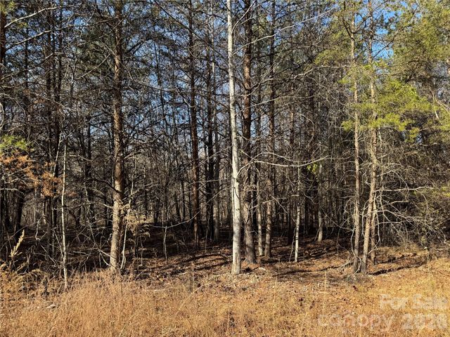 0 Burt Blackwell Road, Mill Spring, NC 28756