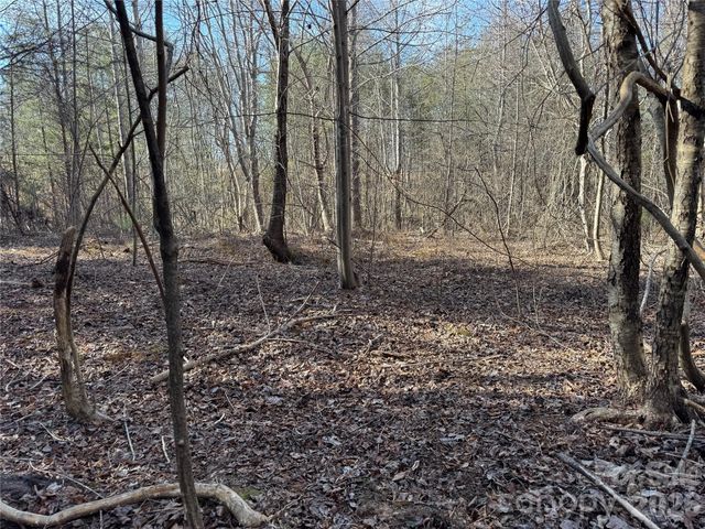 0 Burt Blackwell Road, Mill Spring, NC 28756
