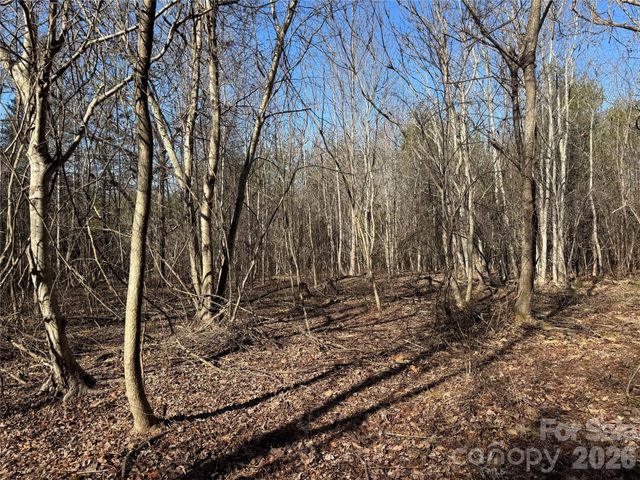 0 Burt Blackwell Road, Mill Spring, NC 28756