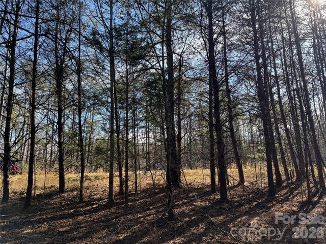 0 Burt Blackwell Road, Mill Spring, NC 28756
