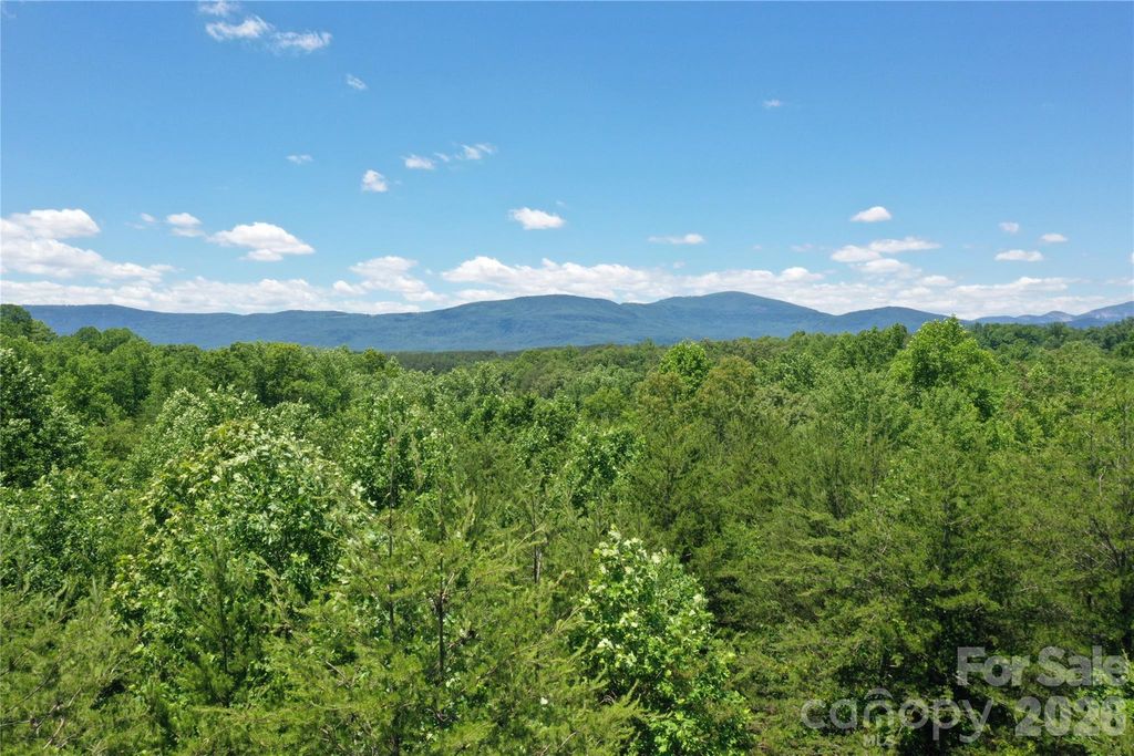 0 Burt Blackwell Road, Mill Spring, NC 28756