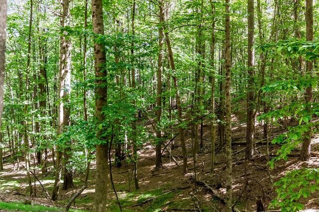 Lot 26 Estates Drive, Ellijay, GA 30536