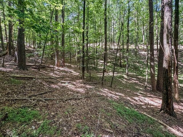 Lot 26 Estates Drive, Ellijay, GA 30536