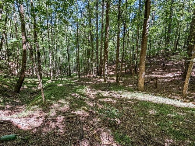 Lot 26 Estates Drive, Ellijay, GA 30536