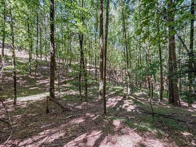 Lot 26 Estates Drive, Ellijay, GA 30536