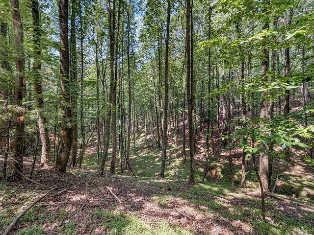 Lot 26 Estates Drive, Ellijay, GA 30536