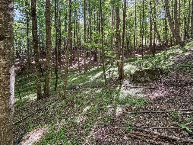 Lot 26 Estates Drive, Ellijay, GA 30536