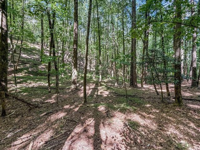Lot 26 Estates Drive, Ellijay, GA 30536