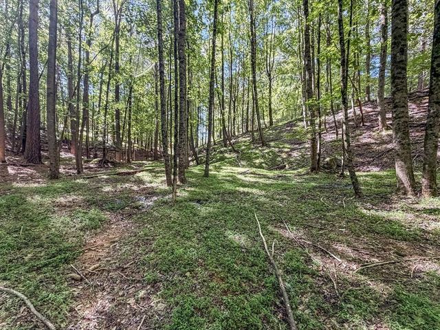 Lot 26 Estates Drive, Ellijay, GA 30536
