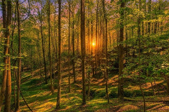 Lot 26 Estates Drive, Ellijay, GA 30536