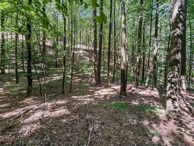 Lot 26 Estates Drive, Ellijay, GA 30536