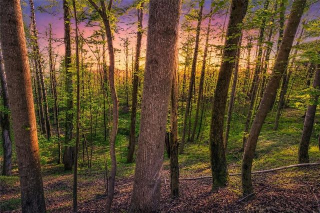 Lot 26 Estates Drive, Ellijay, GA 30536