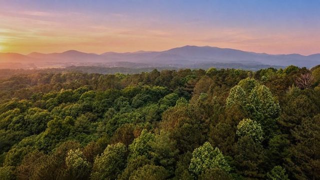Lot 26 Estates Drive, Ellijay, GA 30536