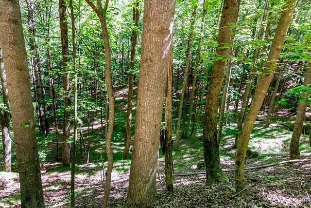 Lot 26 Estates Drive, Ellijay, GA 30536