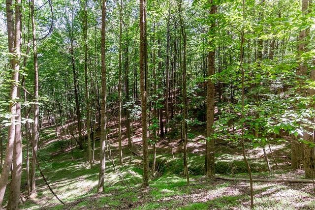 Lot 26 Estates Drive, Ellijay, GA 30536