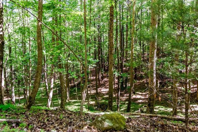 Lot 26 Estates Drive, Ellijay, GA 30536