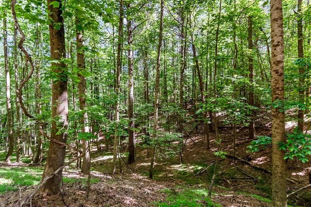 Lot 26 Estates Drive, Ellijay, GA 30536