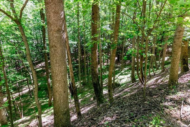 Lot 26 Estates Drive, Ellijay, GA 30536