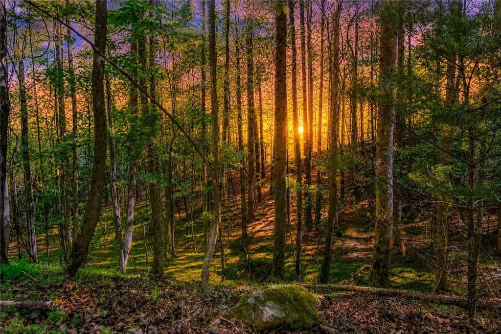 Lot 26 Estates Drive, Ellijay, GA 30536