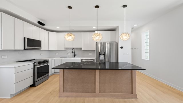 1834 W Rice Street B, Chicago, IL 60622