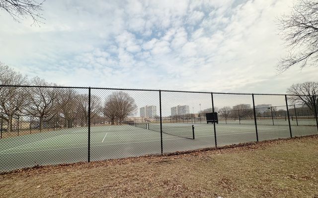 2921 S MICHIGAN Avenue 102, Chicago, IL 60616