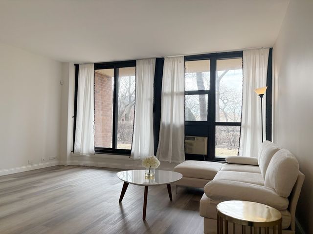 2921 S MICHIGAN Avenue 102, Chicago, IL 60616