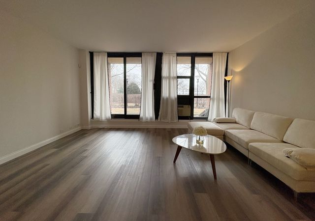 2921 S MICHIGAN Avenue 102, Chicago, IL 60616