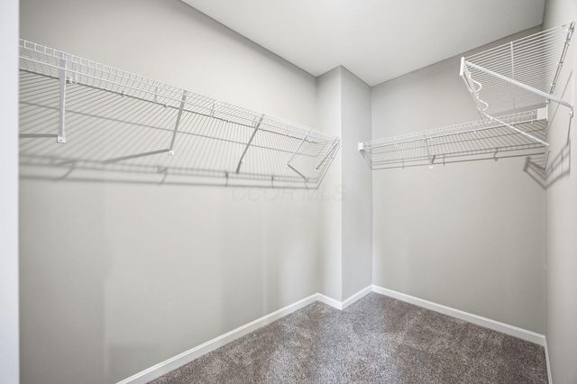 1042 Queen Bee Place, Grove City, OH 43123