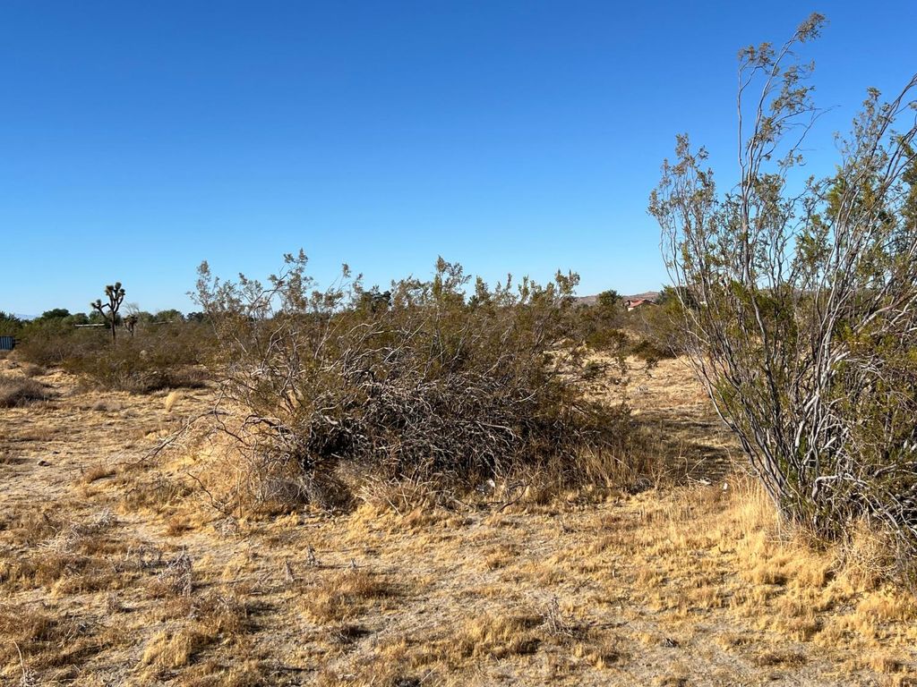Image 17 of property listing at 0 S Ave 115 Ste, Palmdale, CA 93543