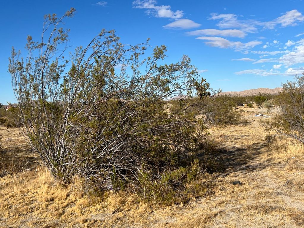 Image 18 of property listing at 0 S Ave 115 Ste, Palmdale, CA 93543