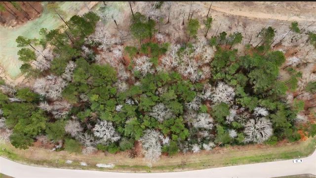 00 Radius Road, Huntsville, TX 77340