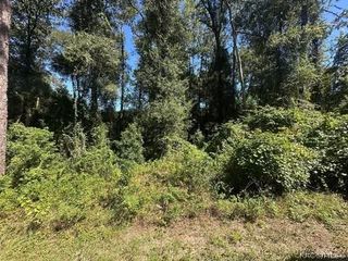 3553 S Dover Terrace, Inverness, FL 34452