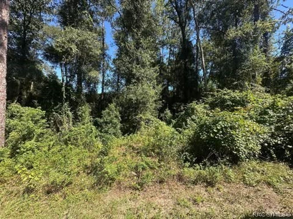 3553 S Dover Terrace, Inverness, FL 34452