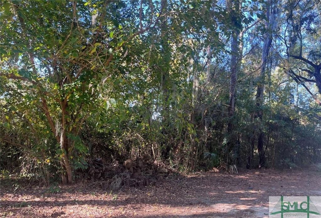 Image 1 of property listing at 0 Furber Avenue, Savannah, GA 31404
