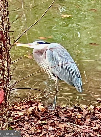 50 Birch Road, Covington, GA 30014