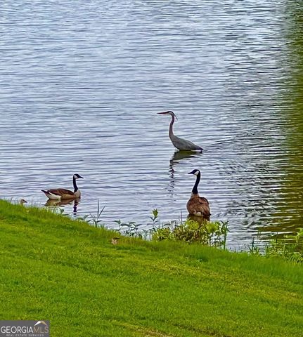 50 Birch Road, Covington, GA 30014