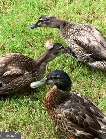 50 Birch Road, Covington, GA 30014